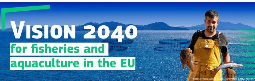 vision2040b-wide.jpg